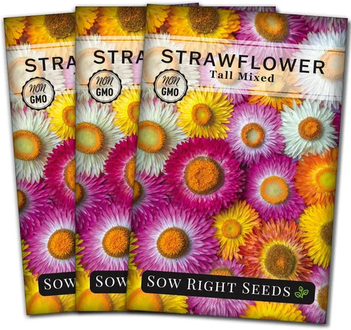 Vista 8 de Sow Right Seeds - Semillas altas de fresa mixta - Paquete de reliquia sin OMG con instrucciones para cultivar - Hermoso para plantar en tu jardín