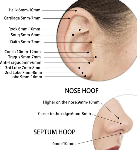 Vista 5 de Nose Rings Hoops for Women Men 14G 16G 18G 20G Septum Jewelry 316L Surgical Steel Hinged Segment Ring Body Piercing Nose Hoop Lip Rings Nose Helix