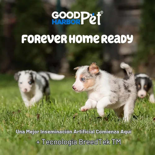 Vista 8 de Good Harbor Pet Kit de cría de perros de inseminación artificial de IA canina - Tamaños: (pequeño), mediano y extra grande