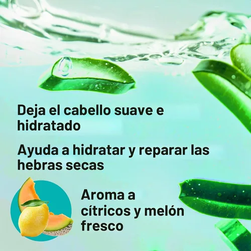 Vista 5 de Maui Moisture Heal & Hydrate + Shea Butter - Champú para reparar e hidratar profundamente el cabello rígido y rizado con aceites de coco y macademia.