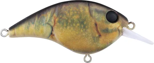 Vista 41 de Berkley Frittside Fishing Hard Bait Bronceado en aerosol