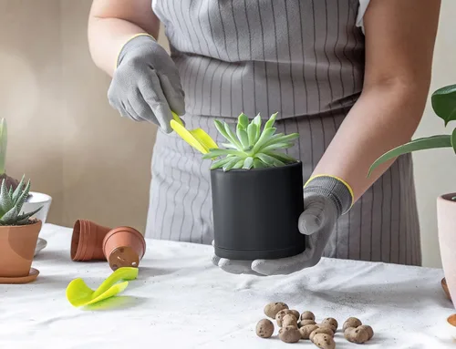 Vista 5 de D'vine Dev Paquete de 2 macetas de plástico modernas de 4 pulgadas, pequeñas macetas de jardín para plantas con agujeros de drenaje y platillos