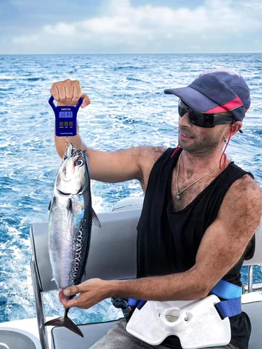 Vista 4 de HEETA Báscula de pescado, báscula digital portátil de pesca colgante de 110 libras / 110.2 lbs con pantalla LCD retroiluminada, báscula de equipaje