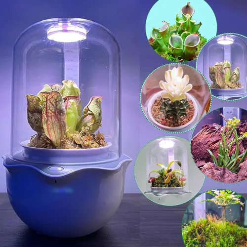 Vista 9 de Smart Venus - Maceta de terrario con temporizador y ventilador, kit de terrario para plantas con luz de crecimiento para carnívoros, Butterwort