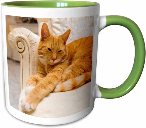 Vista 11 de 3dRose, Taza negra de dos tonos de 15 onzas, negro/blanco