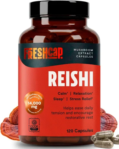 Vista 10 de FreshCap Mushrooms Suplemento de melena de leones en polvo, 14,000 mg, extracto de melena de león, suplemento de hongos para concentración