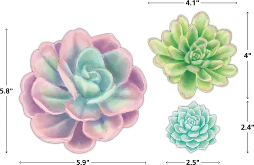 Vista 5 de Teacher Created Resources Acentos de suculentas de flores rústicas, varios tamaños (TCR8590)
