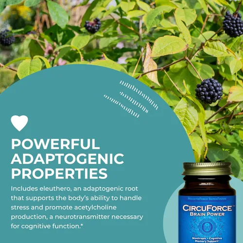 Vista 5 de HEALTHFORCE SUPERFOODS CircuForce Brain Power - 30 VeganCaps