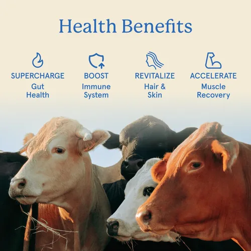Vista 3 de Equip Foods Core Gomitas de Calostro Bovino, Suplemento de Calostro Alimentado con Pasto Delicioso de 1g por Porción - Salud Intestinal, Inmunidad