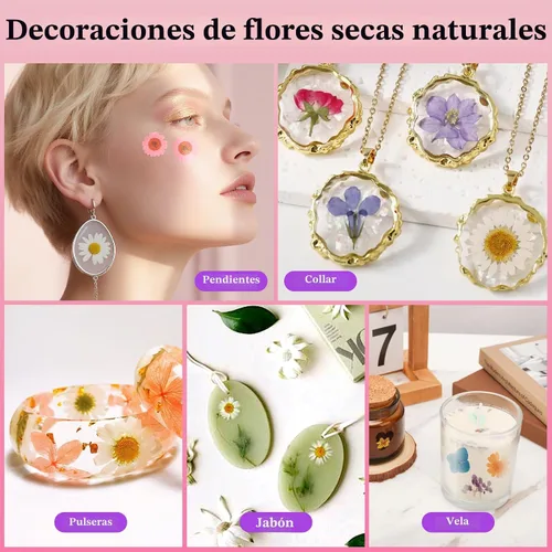 Vista 6 de 210 Pcs Dried Pressed Flowers for Resin,Real Nature Dried Flowers for Craft