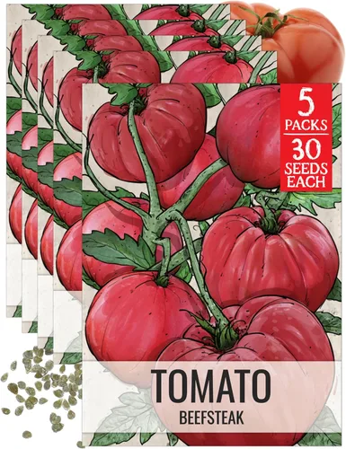 Vista 18 de Seed Needs Semillas de tomate para plantar tomates indeterminados de carne de res verdaderos, reliquia sin OMG y semillas de vegetales sin tratar