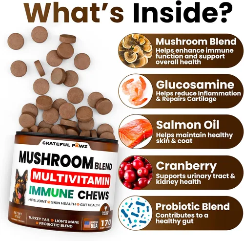 Vista 2 de Suplemento de hongo de cola de pavo para perros, 170 masticables, hongos para perros, Reishi, melena de león, multivitamínico de glucosamina