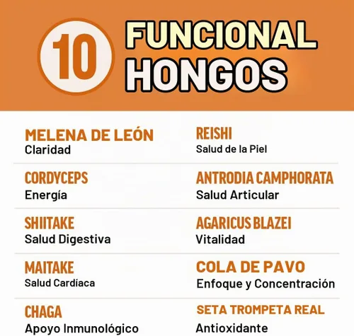 Vista 3 de Force Factor Cápsulas modernas de hongos, suplemento de hongos con melena de león, cola de pavo y cordyceps para apoyar la energía