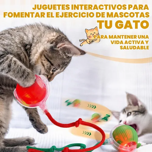 Vista 5 de WinnerWhy Paquete de 6 bolas interactivas para gatos de 360° automáticas, nuevas bolas interactivas recargables regalos para amantes de los gatos