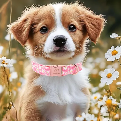 Vista 233 de Collar para perros del 4 de julio, collares patrióticos azules para cachorros y perros pequeños, ligero y ajustable 1776 collares para cachorros