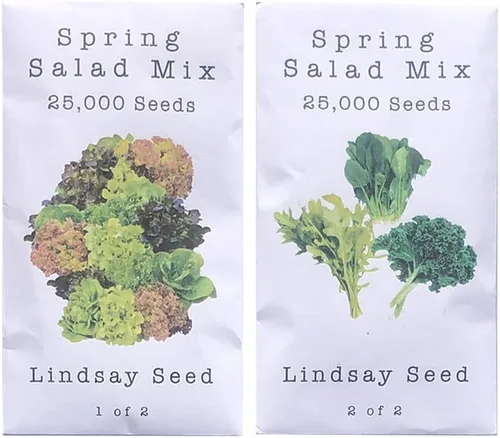 Vista 8 de Mezcla de ensalada de primavera 25000 semillas para plantar 'Cut and Come Again', 12 variedades de lechuga, espinaca, rúcula y col rizada.