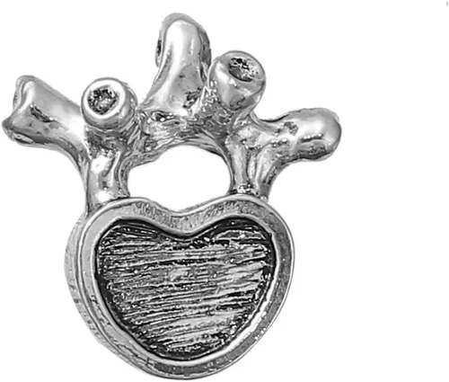 Vista 8 de Sexy Sparkles Medical Anatomical 3D Charm Pendant – Unisex Accessory for Necklaces, Bracelets, and Keychains