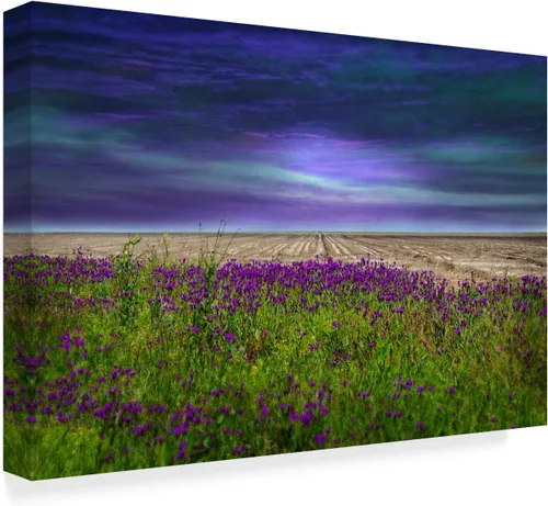 Vista 2 de Trademark Fine Art Lienzo de Barbara Simmons "Más allá de la flor silvestre