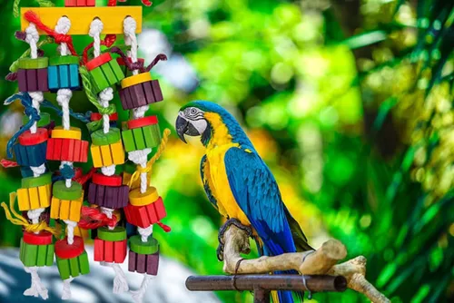 Vista 7 de Juguetes masticables grandes para guacamayos, gris africano, loros amazónicos, cokatoos (20 pulgadas)