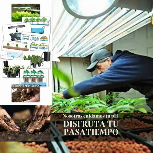 Vista 5 de Kit de pH hidropónico estándar para subir y bajar - Ajustador de pH de botella de 10 onzas para sistemas hidropónicos, fibra de coco incluso suelo.