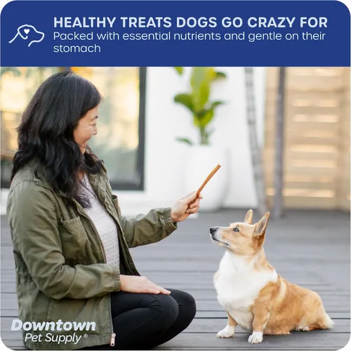 Vista 4 de Downtown Pet Supply Thin Junior Bully Sticks (6 pulgadas – 1/2 libra) – Palitos de matón para perros pequeños y cachorros – Un solo ingrediente