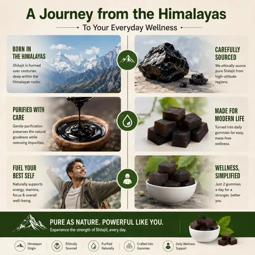 Vista 4 de Gomitas de oro Shilajit del Himalaya de 3000 mg Mezcla de hierbas con ginseng, KSM-66 Ashwagandha, Black Musli y Gokshura Suplemento vegano - 60