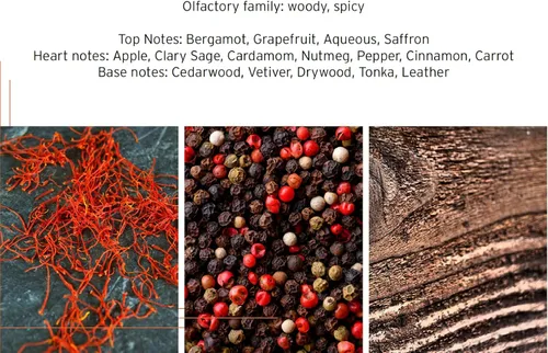 Vista 3 de HEAD Motion - Fragancia para hombre, Eau De Toilette EDT, 3.4 fl oz / 3.4 onzas
