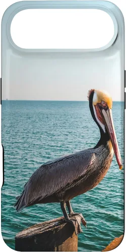 Vista 26 de iPhone 11 Pelican Case