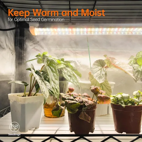 Vista 5 de Bstrip Invernadero interior con luz de cultivo, estante para plantas con tienda de cultivo de tela Oxford, gabinete de invernadero