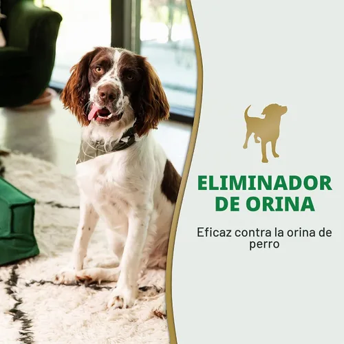 Vista 3 de Nature's Miracle - Removedor de orina para perros, limpiador enzimático, 24 onzas Removes Dog Urine & Yellow Sticky Residue, For Use on Multiple