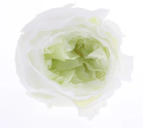 Vista 9 de Cabeza de flor fresca preservada de rosas Austin, 1.6-2 pulgadas cada una, 8 piezas