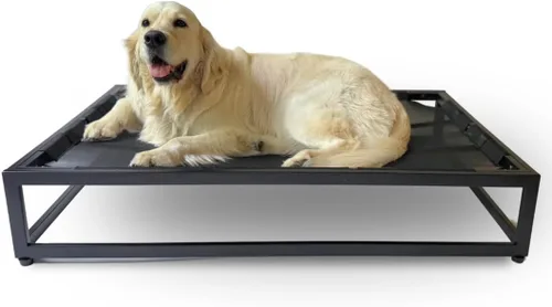 Vista 12 de FUZI Luxury Up - Cama elevada para perros para cachorros, cama elevada para mascotas para interiores y exteriores, a prueba de mordeduras