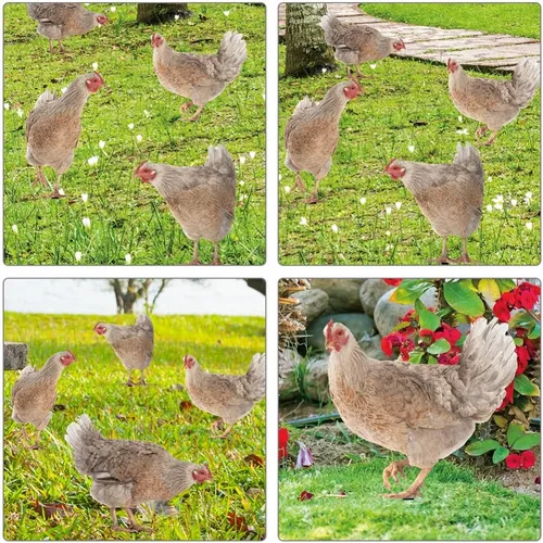Vista 4 de HANABASS Juego de 4 estacas decorativas de acrílico para jardín, estatuas de gallina, decoración de gallina, gallo y animales para patio trasero