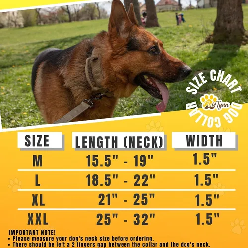 Vista 5 de ADITYNA Collar táctico para perros medianos, acolchado suave, resistente, de servicio, ajustable, militar, K9 rojo mediano con asa