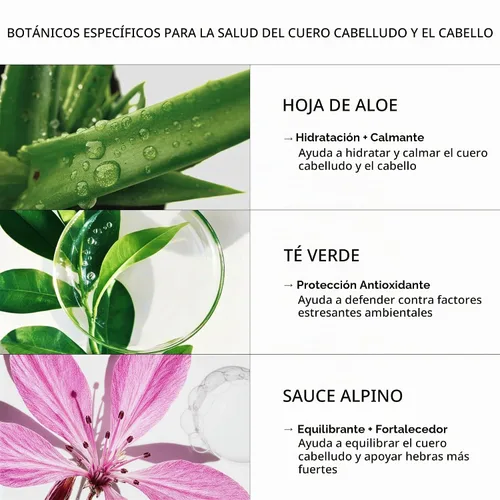Vista 5 de Zenagen Evolve - Tratamiento de champú acelerador profesional