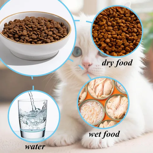 Vista 4 de Platos de cerámica para gatos para alimentos y agua, seguros de porcelana de grado alimenticio, 5.3 pulgadas, paquete de 3 platos y platos