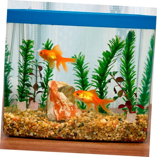 Vista 8 de TEHAUX Soporte para plantas de acuario, 20 unidades, anillo fijo de cerámica, para fijación de plantas de agua, color aleatorio