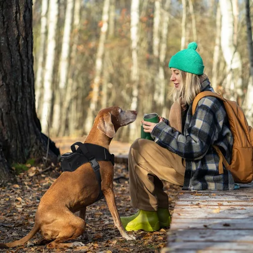 Vista 8 de Arnés para perros de tamaño pequeño, arnés de chaleco para perro sin tirones con asa de fácil control, arnés ajustable reflectante para perros que