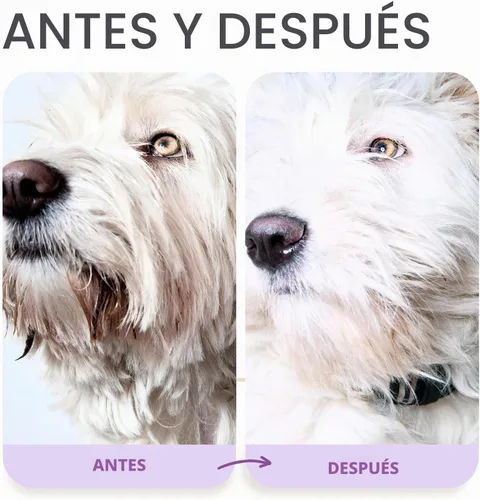 Vista 4 de Lillian Ruff Fórmula PRO Champú para Perros Ultra Blanqueador - Blanqueamiento Profesional y Eliminador de Olores de Larga Duración - Elimina