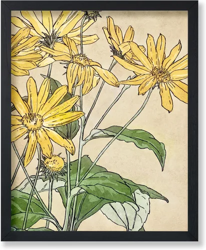 Vista 16 de Poster Master Póster vintage Overbeck – Impresión de acuarela retro – Regalo para artistas, amigos, girasoles, hermoso, botánico, planta
