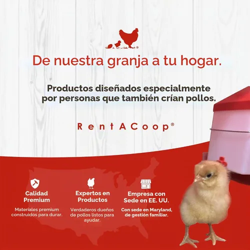 Vista 8 de RentACoop Big Red Barn Chick Brooder