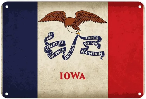 Vista 8 de Letrero de metal de Wisconsin, bandera del estado de Wisconsin, letrero de metal para hogar, estado, país, ciudad, recuerdo, arte de pared, póster
