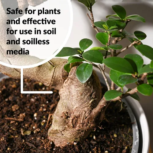 Vista 8 de Dyna-Gro BON-008 Bonsai-Pro Fertilizante líquido para plantas 7-9-5, 8 onzas.