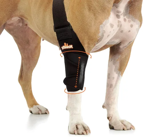 Vista 9 de NeoAlly Codera Protectora para Perros con Almohadillas para Soporte de Codo y Hombro Canino, Higroma de Codo, Displasia, Osteoartritis, Callos