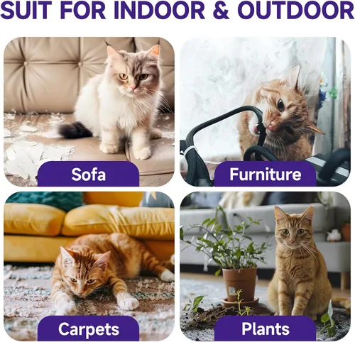 Vista 4 de WEALLIN Spray disuasorio para gatos, 6.76 onzas líquidas, repelente de gatos natural para interiores y exteriores, ayuda de entrenamiento
