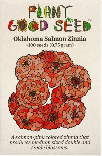Vista 9 de Plant Good Seed Organic Benary's - Semillas gigantes de zinnia de coral para plantar: flor cortada para clima cálido, flores apiladas doble, paquete