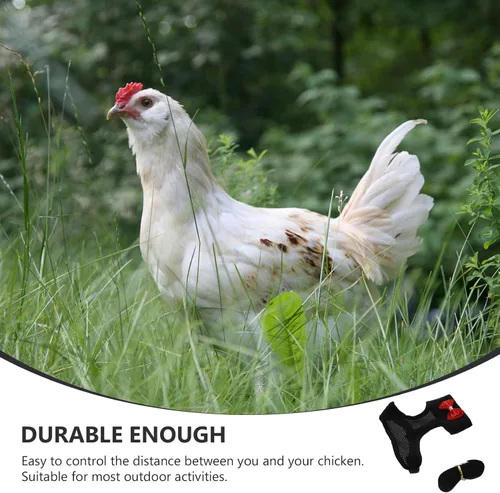 Vista 7 de balacoo Arnés de pollo – Cuerda de tracción de pollo, elástico, transpirable, ajustable, arnés para mascotas, lavable, juego de mascotas de Navidad