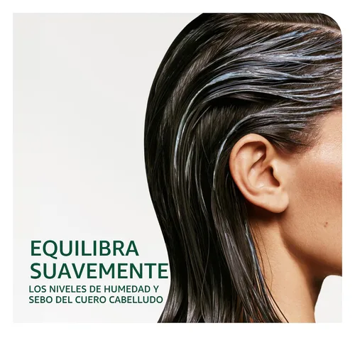 Vista 3 de Biolage Scalp Sync Universal Conditioner - Nourishing & Hydrating for All Scalp Types, Lightweight Moisturizing & Conditioning, Fermented Tea Blend