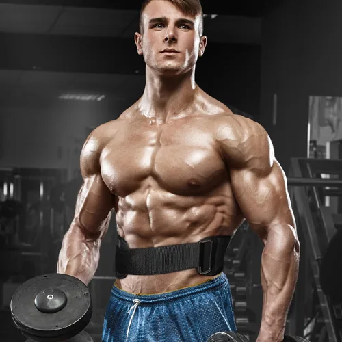 Vista 11 de Cinturón de levantamiento de pesas para hombres y mujeres, cinturón de gimnasio de apoyo lumbar y espalda de 8 pulgadas para culturismo, fitness