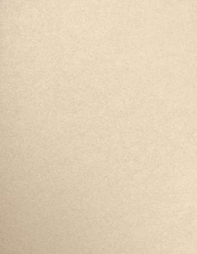 Vista 14 de 8 1/2 X 11, papel metálico colección (50), dorado metálico